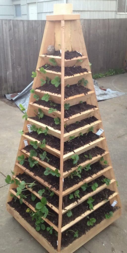 Cool Pyramid strawberry planter