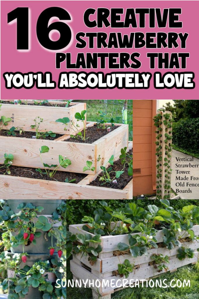 Pin image: top says "16 creative strawberry planters that you'll absolutely love" and bottom is a collage of planters.