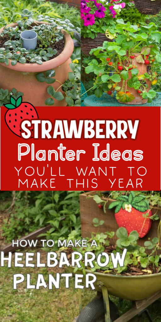 Pin image: top and bottom are pics of strawberry planters, middle says "Strawberry planter ideas you'll want to make this year".