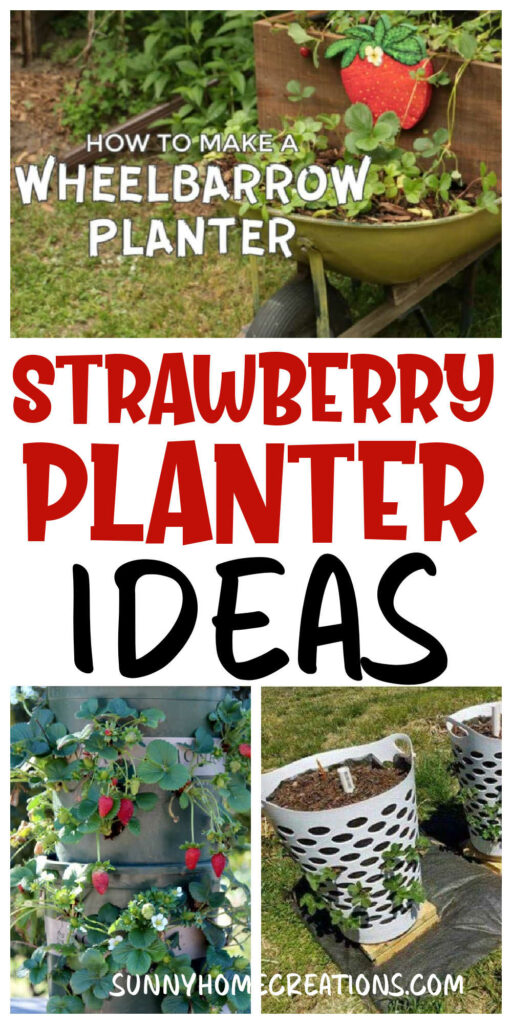 Pin image: top and bottom are collages of strawberry planters, middle says "Strawberry Planter Ideas".