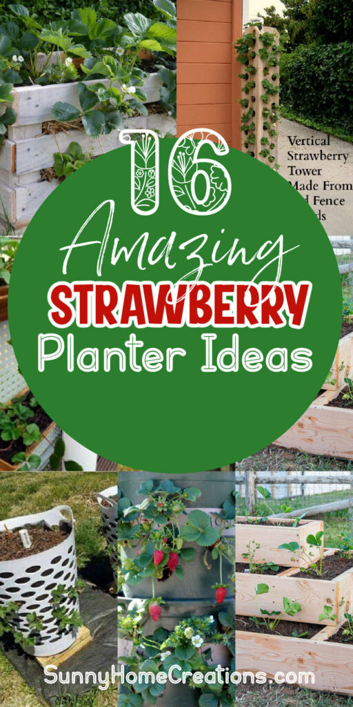 Pin image; collage of strawberry planters with a circle and the words "16 Amazing Strawberry planter ideas".