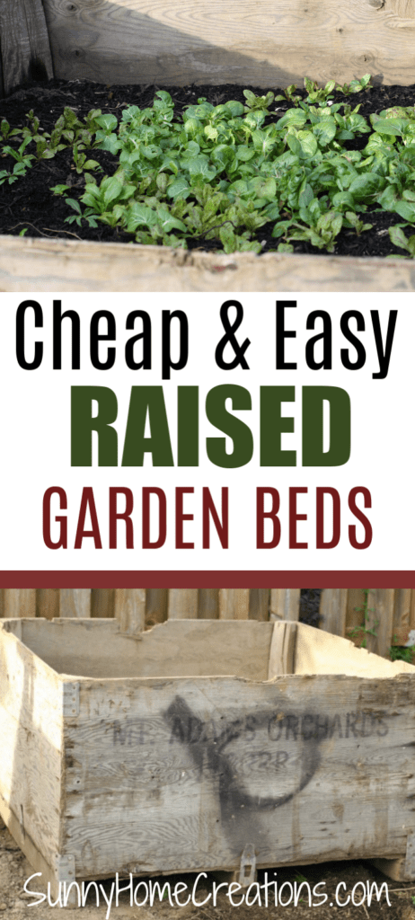 Cheap & easy raised garden beds