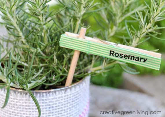 Clothes Pin with Washi Tape DIY Plant Marker