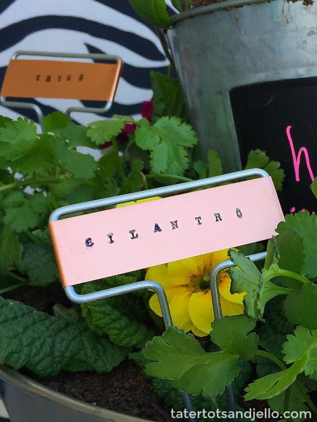 Stamped Plant Marker