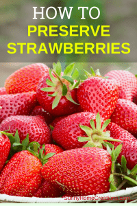 How to Preserve Strawberries