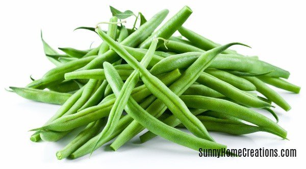 Green Beans are easy to grow