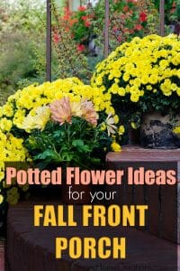 Potted Flower Ideas for your fall front porch