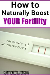 How to Naturally Boost Your Fertility