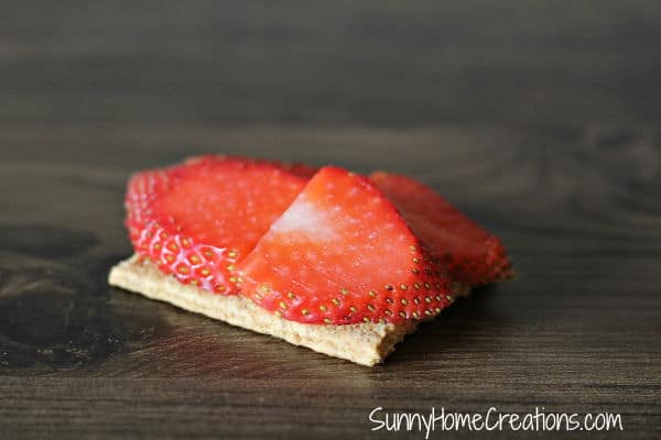 Thinly Sliced Strawberries Topping Graham Cracker