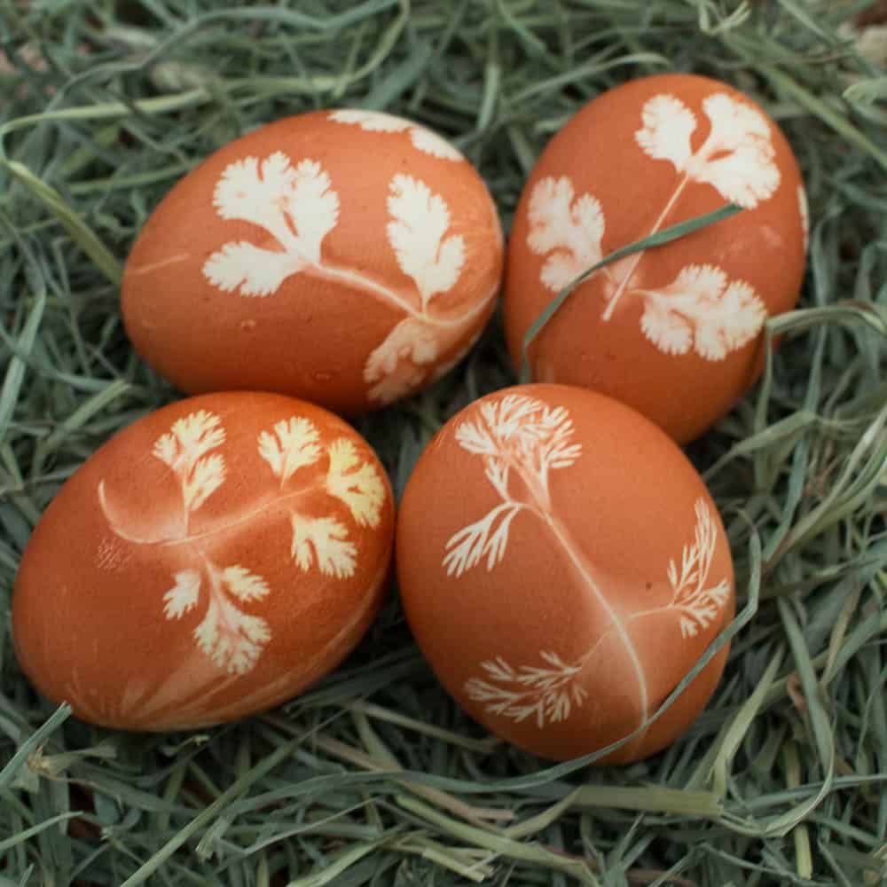 Stenciled with herbs easter eggs