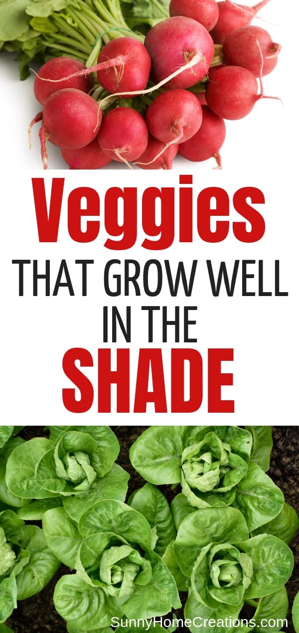 veggies that grow well in the shade