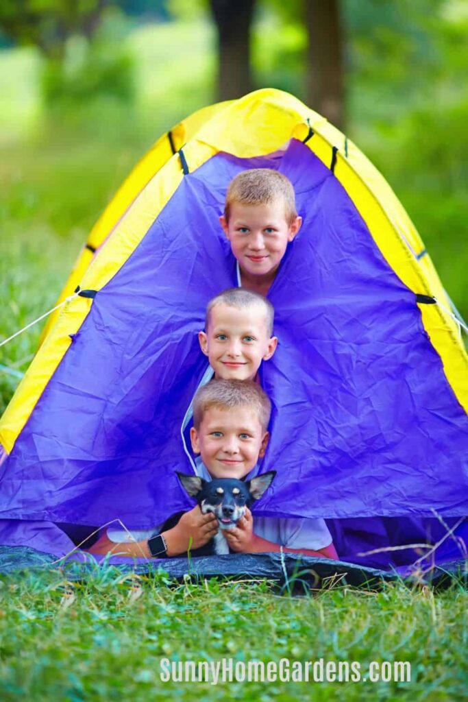 best campgrounds in Oregon for kids