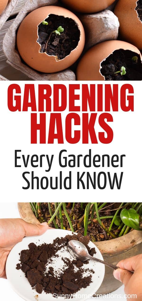 Gardening Hacks Every Gardener Should Know