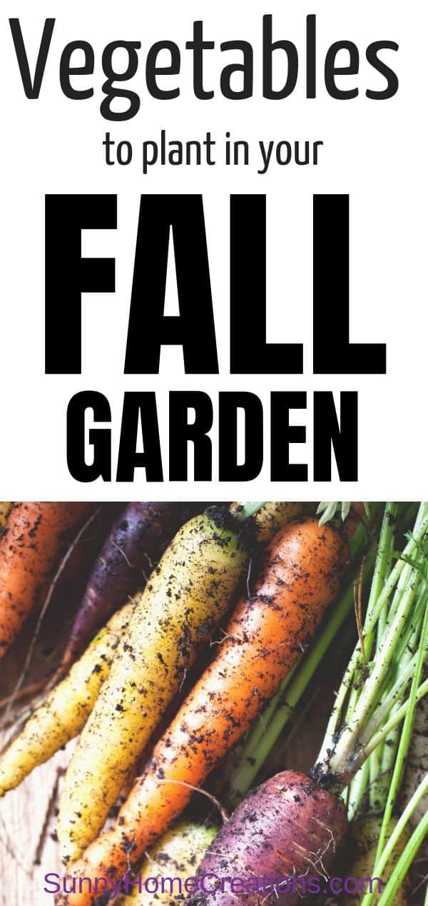Fall Vegetable Garden Pin